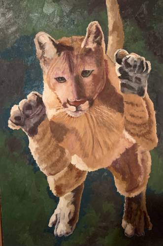 David Bulger will be part of “The Critter Show” at Dublin Community Center.