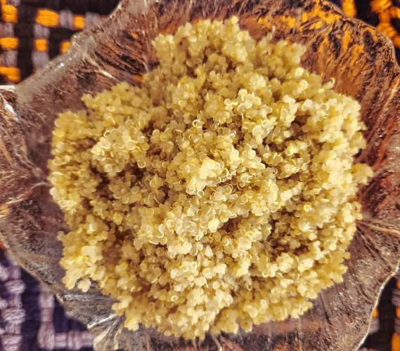Cooked quinoa.